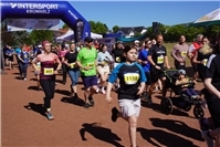 Lohners Vulkan-Marathon in Mendig 2026 begeistert 1800 Teilnehmer