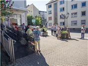 Maibäume am Eltzerhof und im Garten Herlet