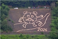 Mutmacheraktion im Mesenicher Weinberg zum Welt-MS-Tag 2026