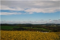 Naturkundliche Wanderung in Untershausen im Westerwald am 3. Mai 2026