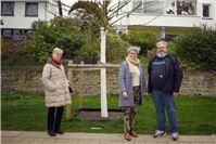 Neuer Baum ziert die Kaiserin-Augusta-Anlage