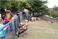 Neuer Förderverein sucht engagierte Unterstützer