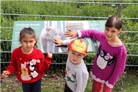 Neuer Veranstaltungskalender für den Wildpark Westerwald