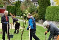 Obstbaum-Pflanz-Challenge für Klimaschutz und Lebensqualität in Andernach