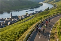 Panorama-Höhenradweg Kobern-Gondorf: FWG fordert sichere und nachhaltige Streckenführung