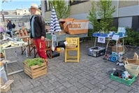 Pflanzentauschbörse in Bell mit Flohmarkt 
