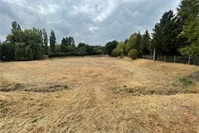 Pflege- und Unterhaltungsarbeiten am Regenrückhaltebecken Kolpingstraße