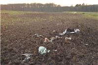 Plastikmüll in Wölferlingen alarmiert