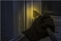 Polizei bittet um Hinweise nach Einbruch in Windhagen