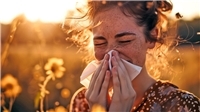 Pollen, na und? 