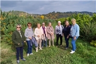 Regelmäßige Spaziergänge und Ausflüge in Remagen für Gemeinschaft und Naturerlebnis