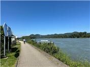 Remagen: Aale werden im Rhein ausgesetzt