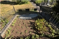 Restaurierung historischer Ehrengräber auf dem alten Friedhof in Sayn