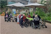 Ruhe finden im Grünen: Senioren entdecken Garten Herlet