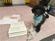 Schulhund Nash besucht erste Klasse der Freien Waldorfschule Mayen