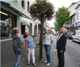 Sinzig: Bürger müssen neue Blumenampeln selber gießen