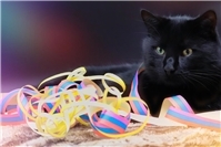 So verliert der Kater seine Krallen