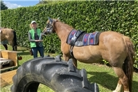 Sommerfest und Ponyreiten fand großen Zuspruch
