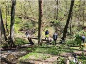 Sperrung auf dem Wanderweg durch das Pommerbachtal aufgehoben