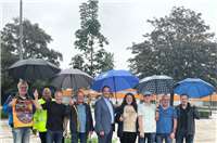 Spitzahorne gegen Hitze: Klimaprojekt wurde nun realisiert