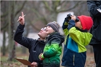 Stunde der Wintervögel: Deutschlands größte Vogelzählung startet wiede