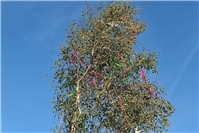 Tanz in den Mai 2026 in Raubach