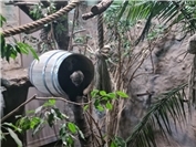 Tierisch Freude schenken