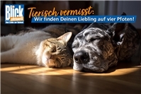 Tierisch vermisst:
Wir finden Deinen Liebling auf vier Pfoten!