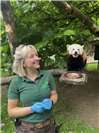 Tierisch viele Patienten