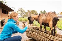 Tierwelt und Naturbeobachtung im Westerwald