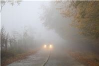 Unterwegs im Herbst: Achtung, Rutschpartie droht!