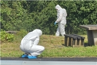Vermisste Frau aus dem Kreis Ahrweiler ist Opfer eines Tötungsdelikts