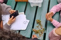 Vielfältiges Sommerferienprogramm für Kinder und Jugendliche in Remagen