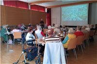 Vier Perlen Andernachs – Die Stadtteile