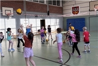 Volleyball-Schnuppertag in Remagen