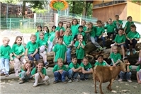 Vorschulkinder der Kita Rappelkiste feiern Abschied mit Zoo-Ausflug nach Neuwied