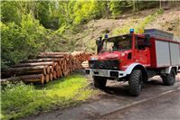 Wald- und Vegetationsbrände im Fokus