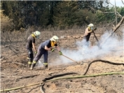 Waldbrand bei Langscheid:
Löscharbeiten werden am Samstag fortgesetzt