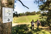 Wandergenuss auf dem Hocheifel-Panorama-Weg 