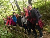 Wandergruppe auf
Panoramaweg unterwegs