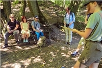Wanderung zeigt wichtige Ökosystemleistungen des Waldes