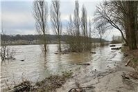 Wasserstände am Mittelrhein steigen vorerst weiter an 