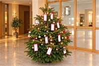 Weihnachts-Wunschbaum für Seniorinnen und Senioren in Brohl-Lützing