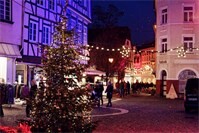 Weihnachtsbäume spenden in Linz am Rhein für gemütliche Adventszeit