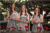 Weinfest in Fankel 2026: Weingenuss und Musikprogramm in Bruttig-Fankel