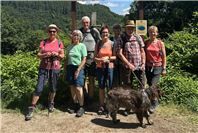 Zwei Tage auf dem Eifelsteig