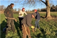 Im Naturschutzgebiet Koppelstein geht’s der Zackenschote an den Kragen