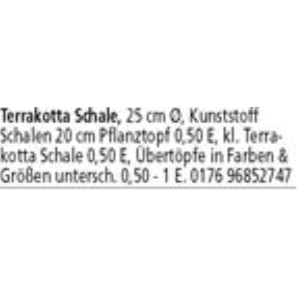 Anzeige