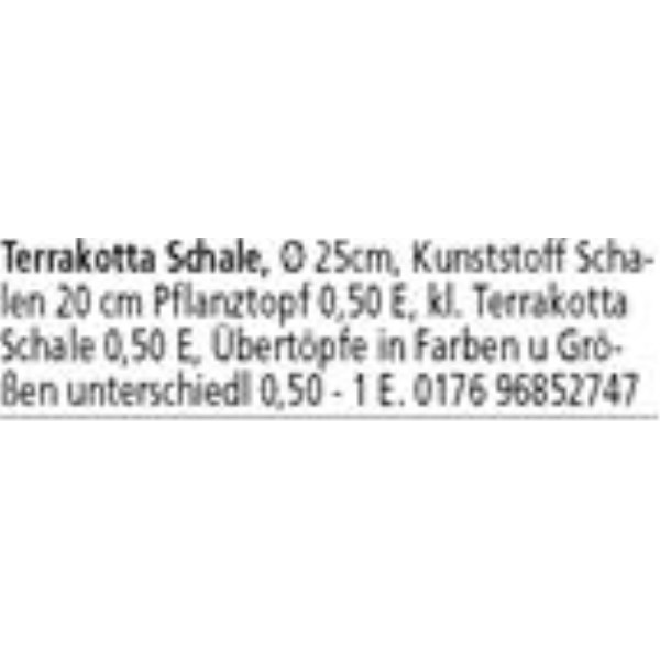 Anzeige