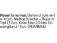 Blumen für im Haus, blühen rot oder weiß 4 - 8 Euro. Niedrige Sträucher + Thujas im Topf 1,5 Euro. 